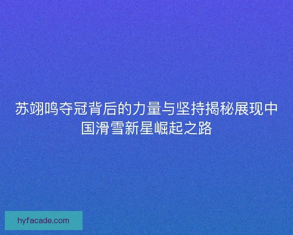 苏翊鸣夺冠背后的力量与坚持揭秘展现中国滑雪新星崛起之路