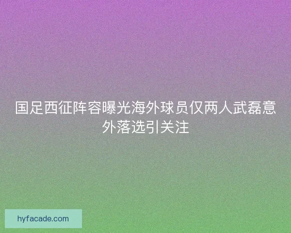 国足西征阵容曝光海外球员仅两人武磊意外落选引关注